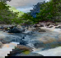 Cape Tribulation Day Tour - Accommodation Directory