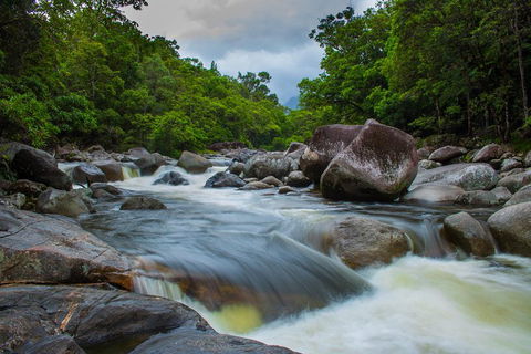 Cape Tribulation Day Tour - Accommodation Directory 0