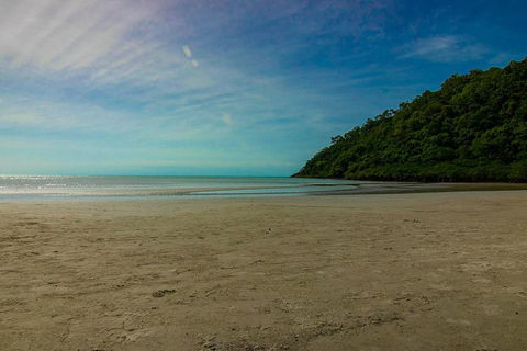 Cape Tribulation Day Tour - Accommodation Directory 2