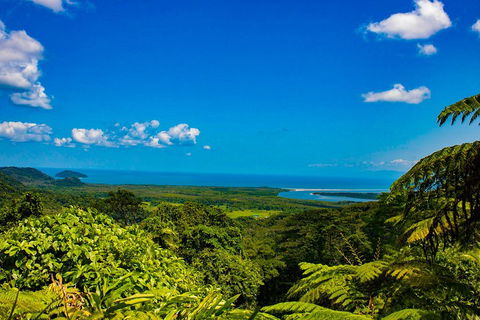 Cape Tribulation Day Tour - Accommodation Directory 3