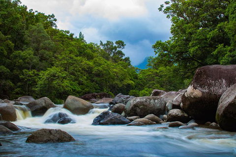 Cape Tribulation Day Tour - Accommodation Directory 4