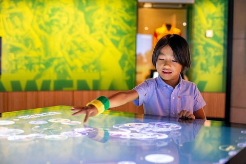 Melbourne Sports Experience + Free Australian Sports Museum Entry - Accommodation Directory 4