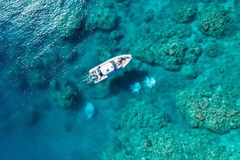 Premium Private Charter - Accommodation Directory 0
