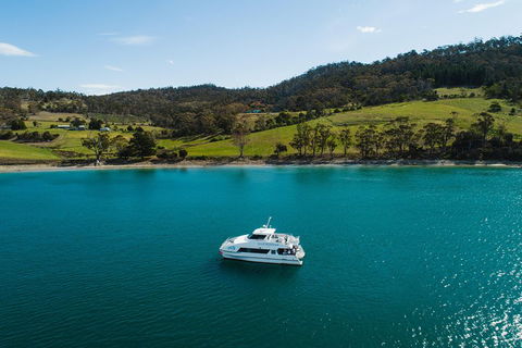 Deep-to-Dish: Tasmanian Seafood Experience - Accommodation Directory 0