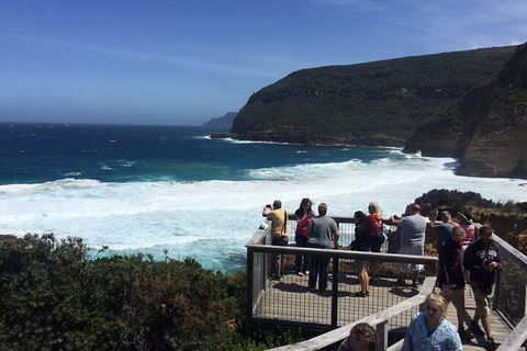 The Port Arthur MEGA Day Trip From Hobart - Accommodation Directory 2