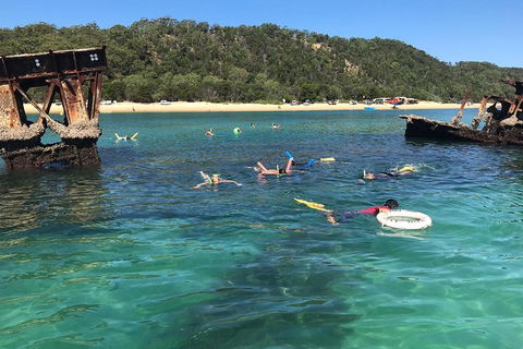 All Inclusive Dolphin And Tangalooma Wrecks Cruise - Accommodation Directory 0