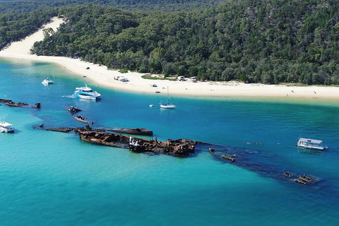 All Inclusive Tangalooma Wrecks Cruise Tour From Gold Coast - Accommodation Directory 0