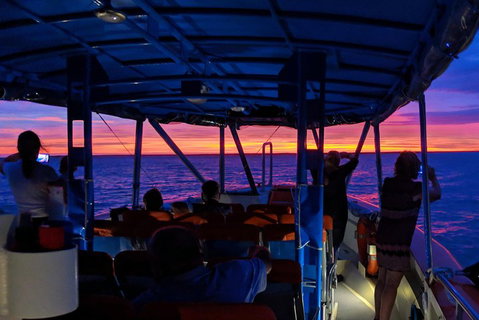 Darwin Sunset Cruise Including Fish 'n' Chips - Accommodation Directory 1