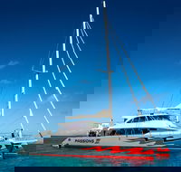 Passions of Paradise Great Barrier Reef Snorkel and Dive Cruise from Cairns by Luxury Catamaran - Accommodation Directory