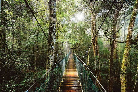 O'Reilly's & Lamington National Park From Gold Coast - Accommodation Directory 0