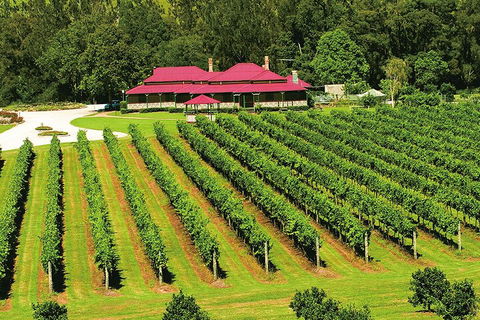 O'Reilly's & Lamington National Park From Gold Coast - Accommodation Directory 2