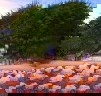 Byron Bay and the Crystal Castle Day Tour from Gold Coast - Accommodation Directory