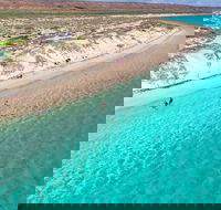 Ningaloo in a Day - Full Day Hike and Snorkel Tour with Lunch - Accommodation Directory