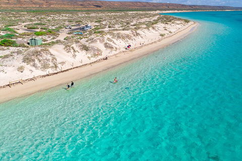 Ningaloo In A Day - Full Day Hike And Snorkel Tour With Lunch - Accommodation Directory 0