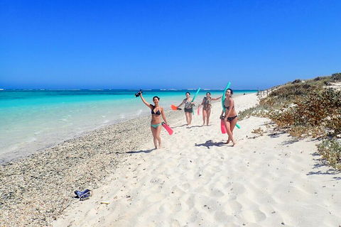 Ningaloo In A Day - Full Day Hike And Snorkel Tour With Lunch - Accommodation Directory 1