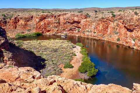 Ningaloo In A Day - Full Day Hike And Snorkel Tour With Lunch - Accommodation Directory 2