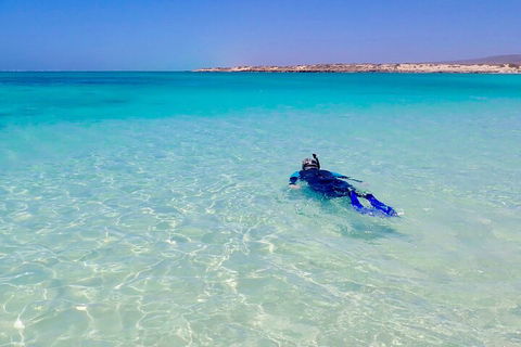 Ningaloo In A Day - Full Day Hike And Snorkel Tour With Lunch - Accommodation Directory 4