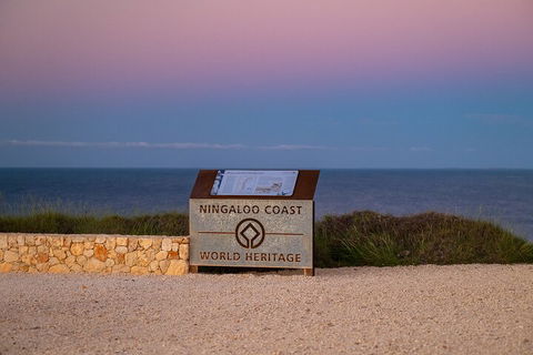 Ningaloo In A Day - Full Day Hike And Snorkel Tour With Lunch - Accommodation Directory 5