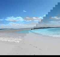 Shipwreck Special Nature Tour/Half Day Tour - Accommodation Directory