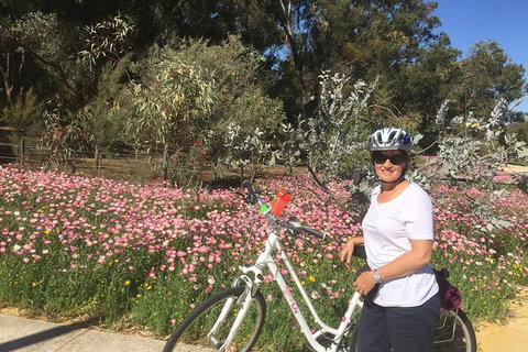 Perth Bike Tour - Beautiful Matilda Bay And Kings Park - Accommodation Directory 1
