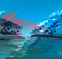 Best of Moreton Bay Cruise - Accommodation Directory