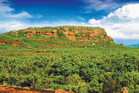 Kakadu, Nourlangie And Yellow Waters Tour From Darwin - Accommodation Directory 3