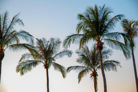 Darwin City Sightseeing Tour - Accommodation Directory 0