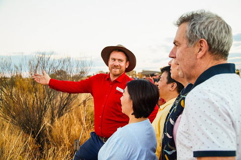 Uluru (Ayers Rock) Sunset With Outback Barbecue Dinner And Star Tour - Accommodation Directory 3