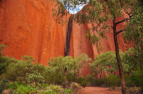 Uluru Sunrise And Guided Base Walk - Accommodation Directory 3