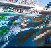 Great Barrier Reef Day Cruise from Cairns Including Snorkeling and Marine Biologist Presentation - Accommodation Directory