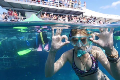 Great Barrier Reef Day Cruise From Cairns Including Snorkeling And Marine Biologist Presentation - Accommodation Directory 0