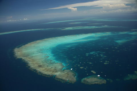 Great Barrier Reef Day Cruise From Cairns Including Snorkeling And Marine Biologist Presentation - Accommodation Directory 1