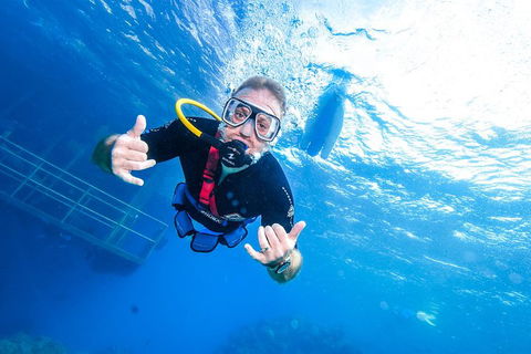 Great Barrier Reef Day Cruise From Cairns Including Snorkeling And Marine Biologist Presentation - Accommodation Directory 3