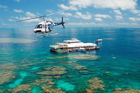 Great Barrier Reef Day Cruise From Cairns Including Snorkeling And Marine Biologist Presentation - Accommodation Directory 5