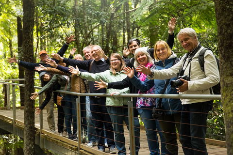 All Inclusive Blue Mountains Small-Group Day Trip From Sydney - Accommodation Directory 5