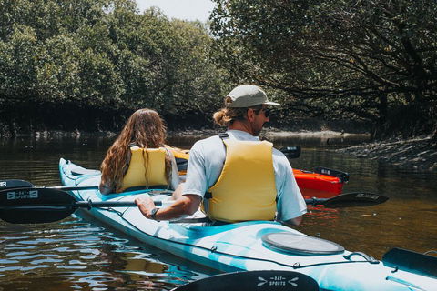 Kayak Tour In Adelaide Dolphin Sanctuary - Accommodation Directory 2