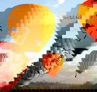 Natural Bridge  Springbrook Waterfalls Tour  Hot Air Balloon with Breakfast - Accommodation Directory