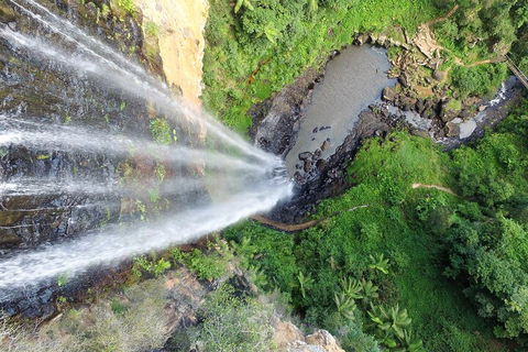 Natural Bridge & Springbrook Waterfalls Tour + Hot Air Balloon With Breakfast - Accommodation Directory 1