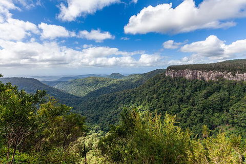 Natural Bridge & Springbrook Waterfalls Tour - Accommodation Directory 1