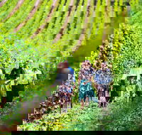 Tasmanian Wine Tour - Accommodation Directory