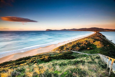 Bruny Island Private Charter Service - Accommodation Directory 0