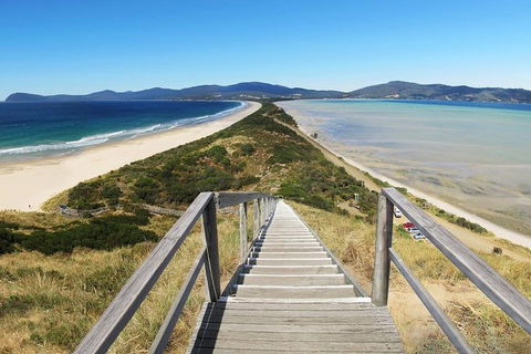 Bruny Island Private Charter Service - Accommodation Directory 4