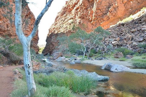 Alice Springs, Uluru Ayers Rock & Kings Canyon 8 Days Touring Package - Accommodation Directory 2