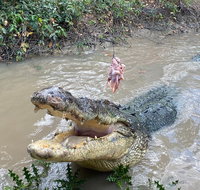 Top End Waterfalls and Wetlands - Accommodation Directory