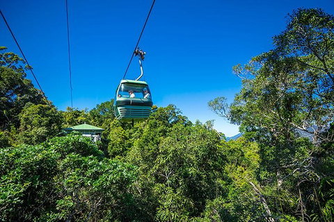Skyrail Rainforest Cableway Day Trip From Cairns - Accommodation Directory 1