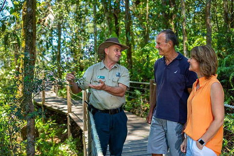 Kuranda Scenic Railway Day Trip From Cairns - Accommodation Directory 1