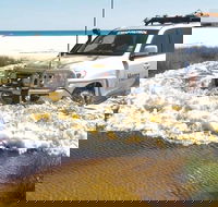 Full-Day Moreton Island 4x4 Sightseeing Tour - Accommodation Directory