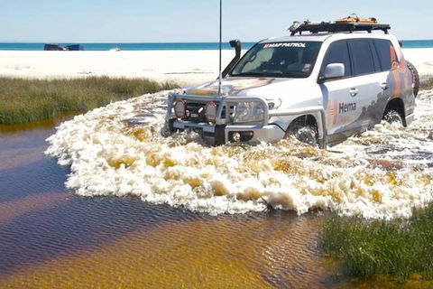 Full-Day Moreton Island 4x4 Sightseeing Tour - Accommodation Directory 0