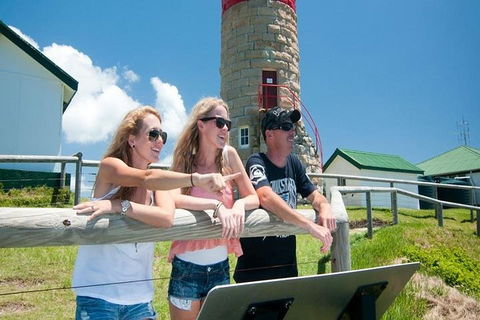Full-Day Moreton Island 4x4 Sightseeing Tour - Accommodation Directory 3