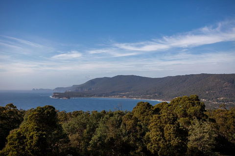 Port Arthur And Tassie Devils Active Day Tour From Hobart - Accommodation Directory 5
